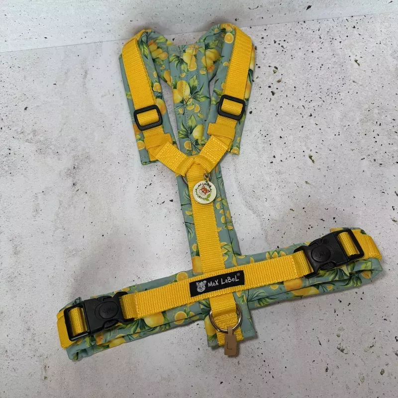 Lemon Love Geschirr Größe L